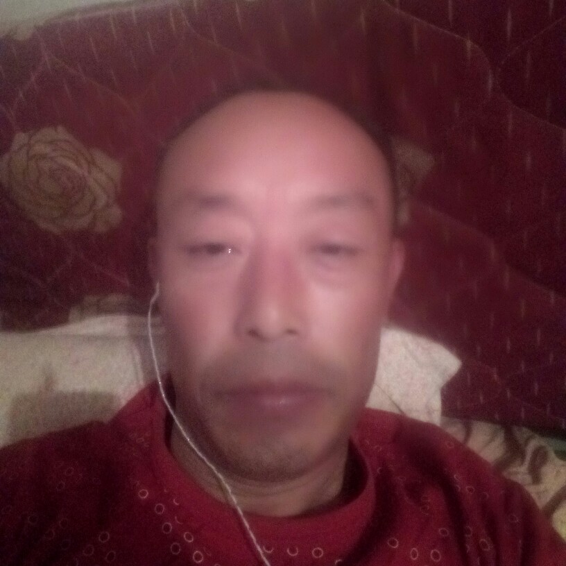 无心之果的照片