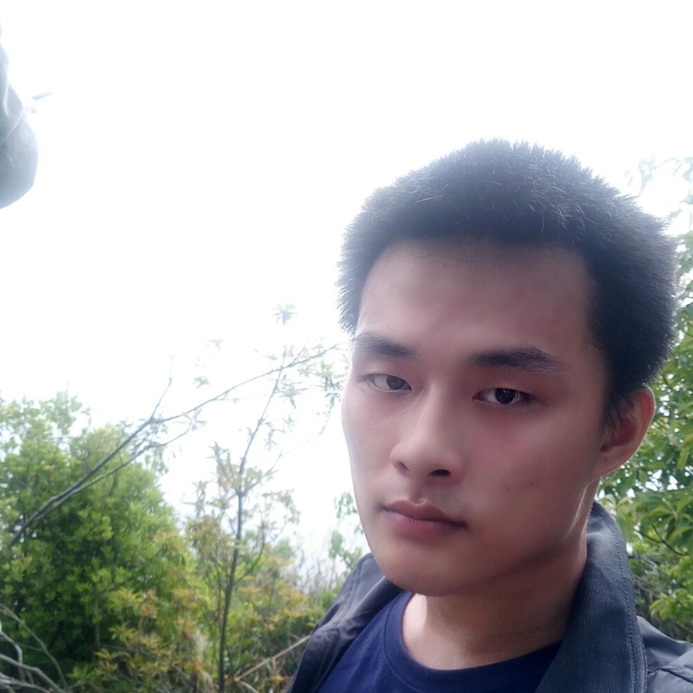 风雨独行侠的照片