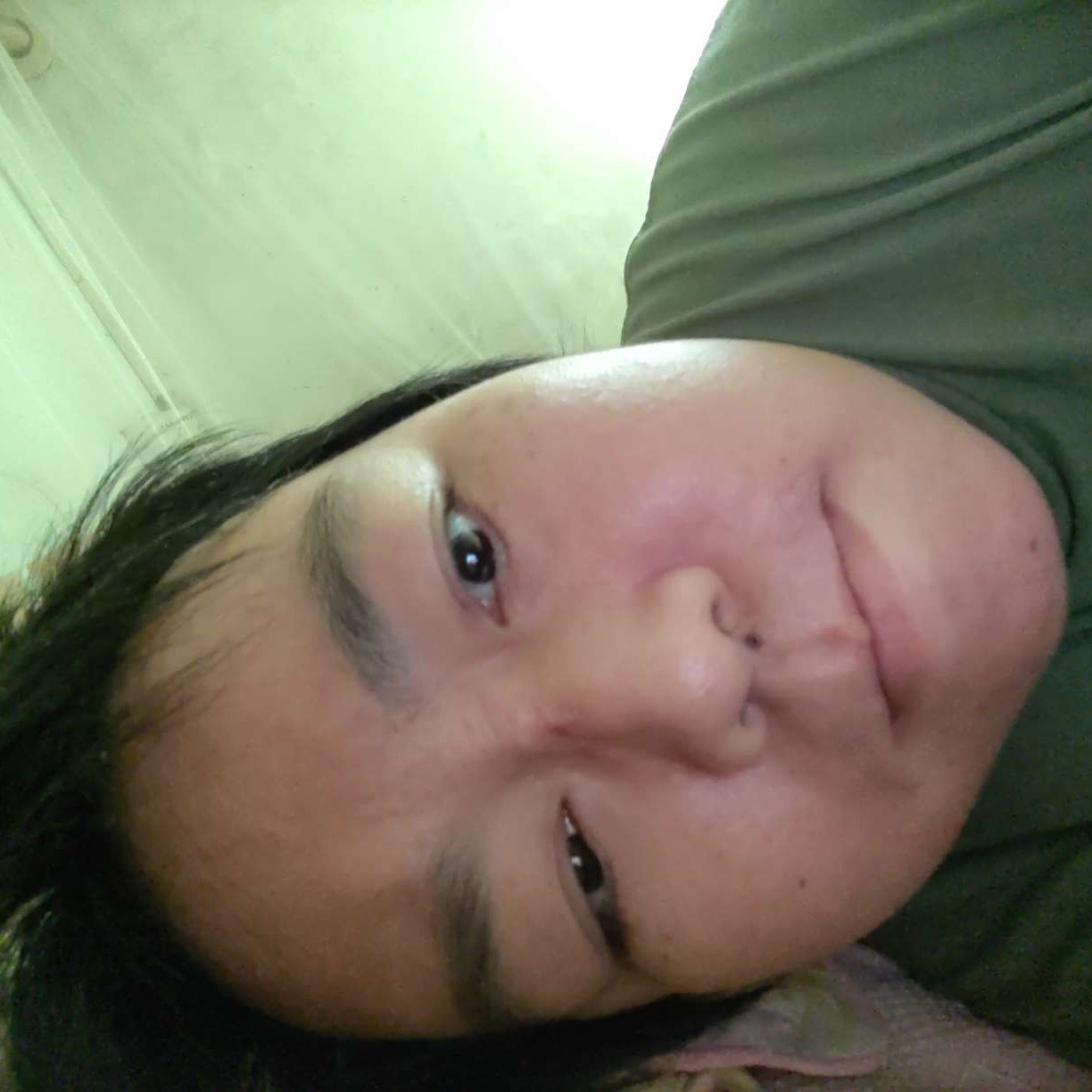 甜美用仙人掌的照片