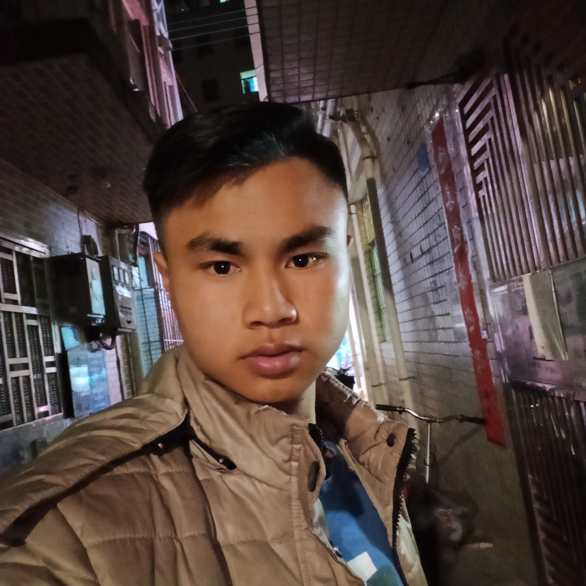 忧虑那金鱼的照片