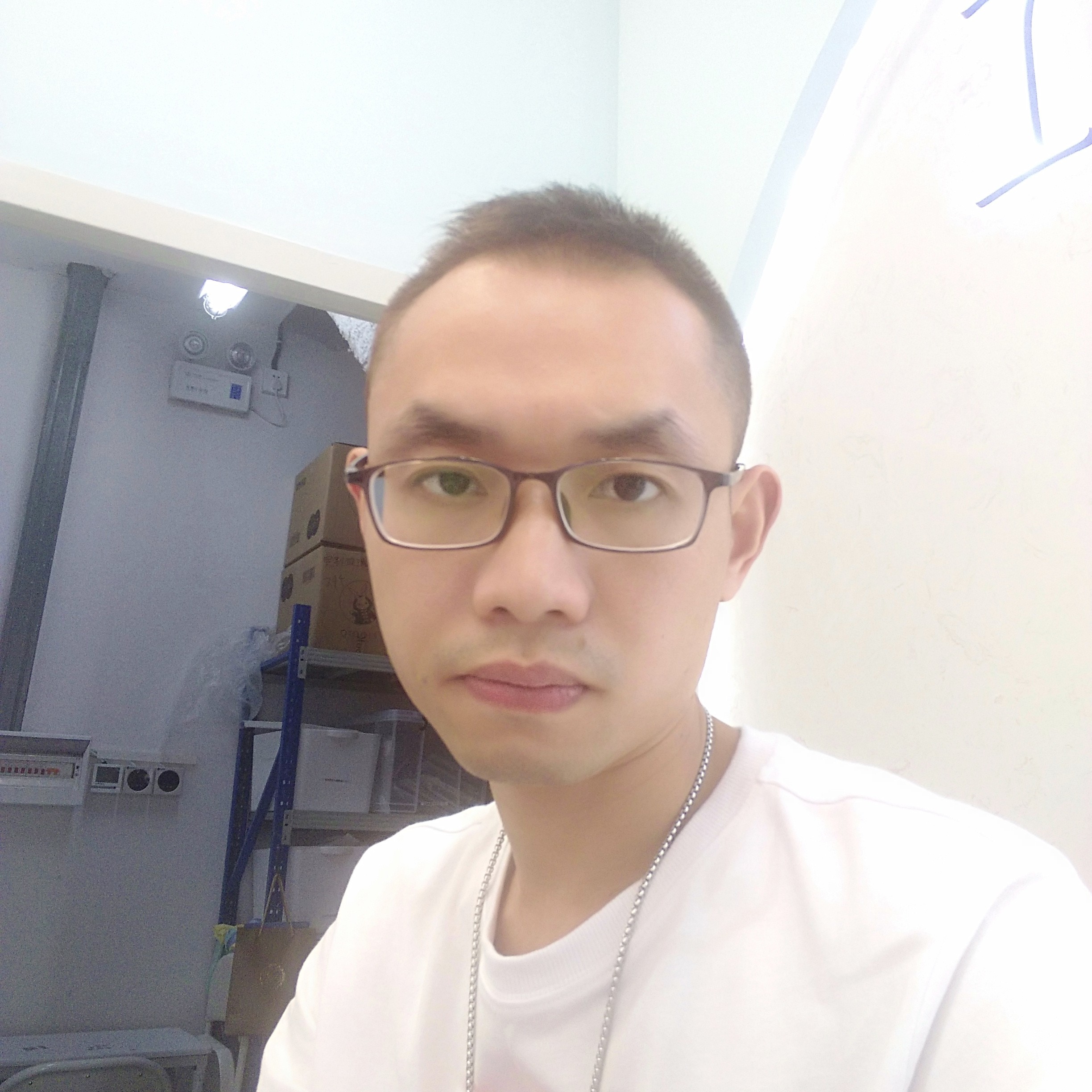 整齐停止晨阳的照片