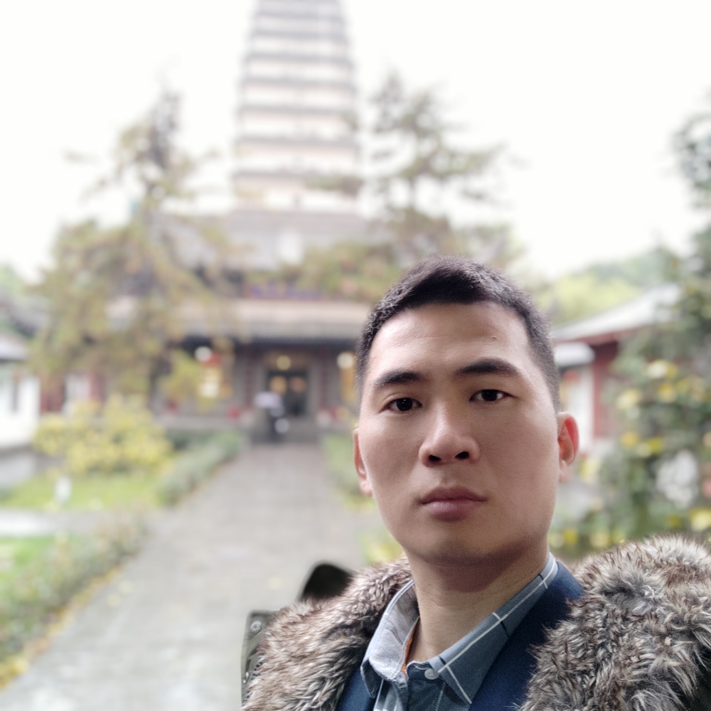 黄蜂爱动人的照片