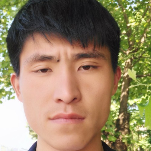 缘分00的照片