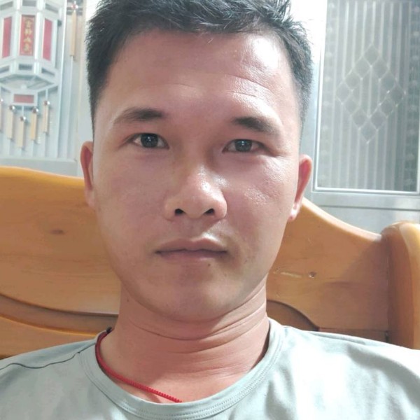 诚心黄蜂的照片