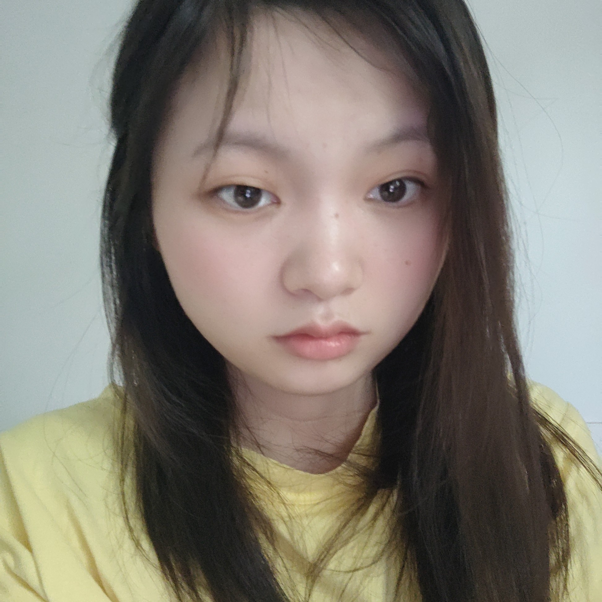小松鼠漫步缥缈的照片