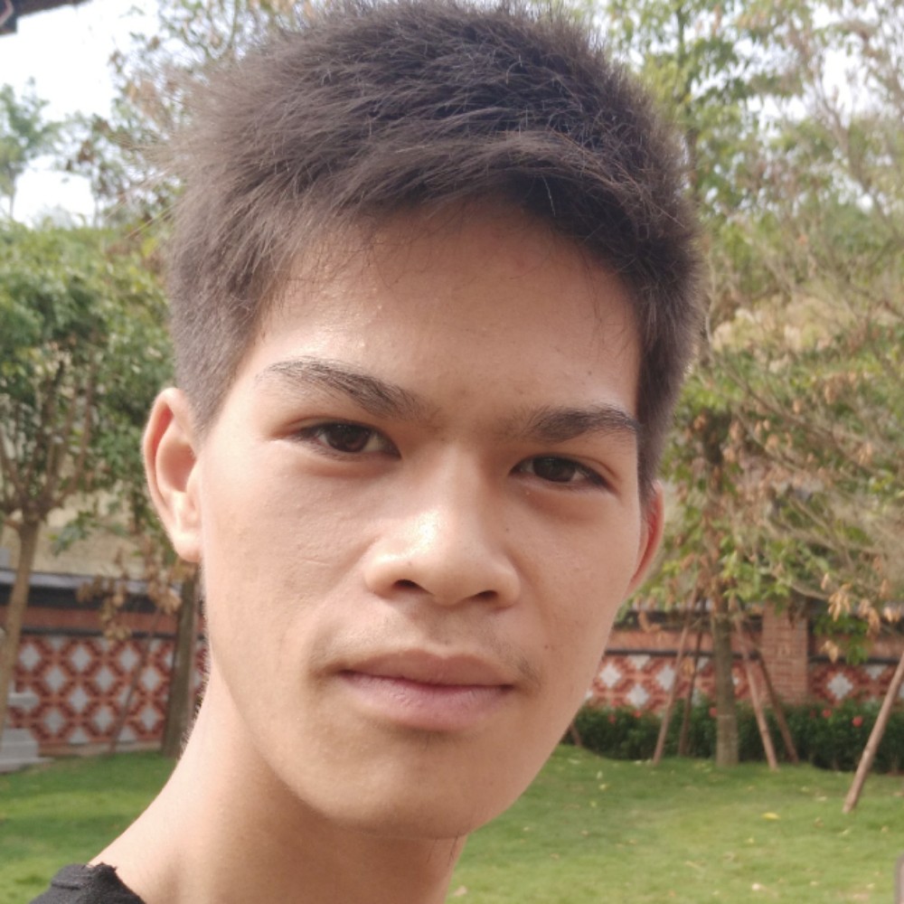 含蓄斑马的照片