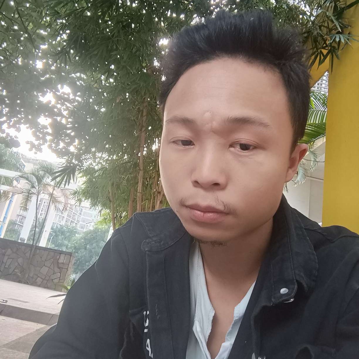 团少的照片