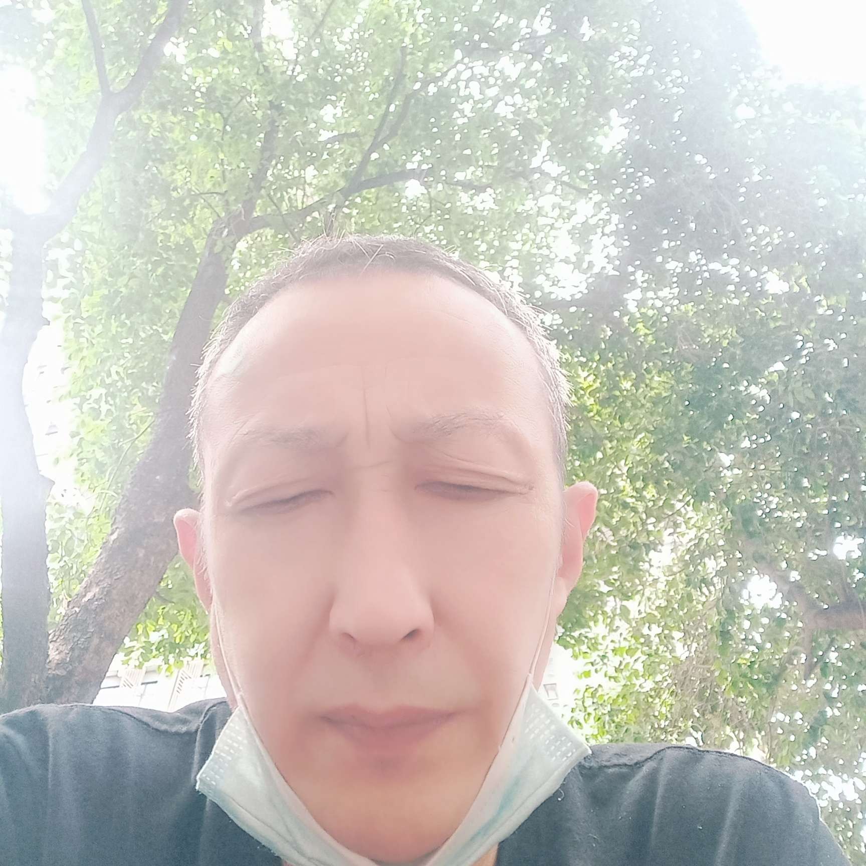 麦片華麗的照片