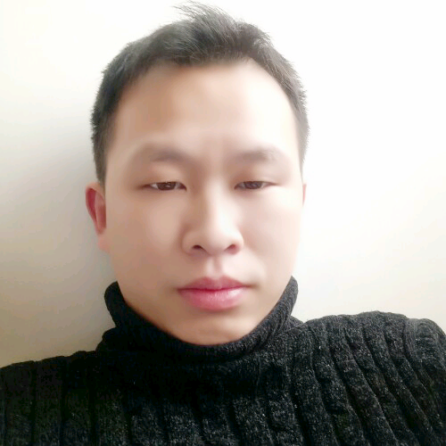 我是一只流浪猫的照片
