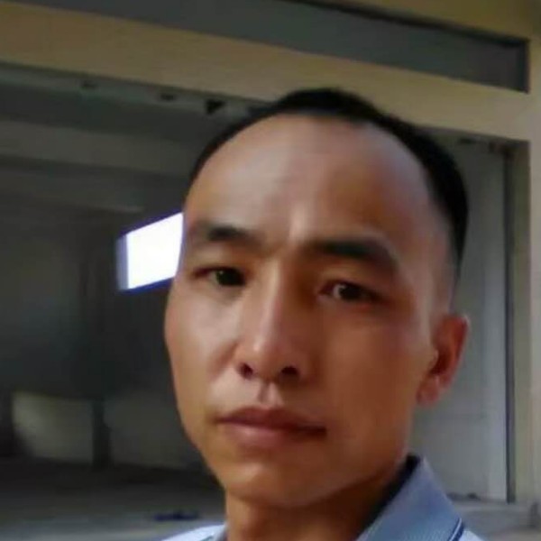 小蜜蜂贤惠的照片