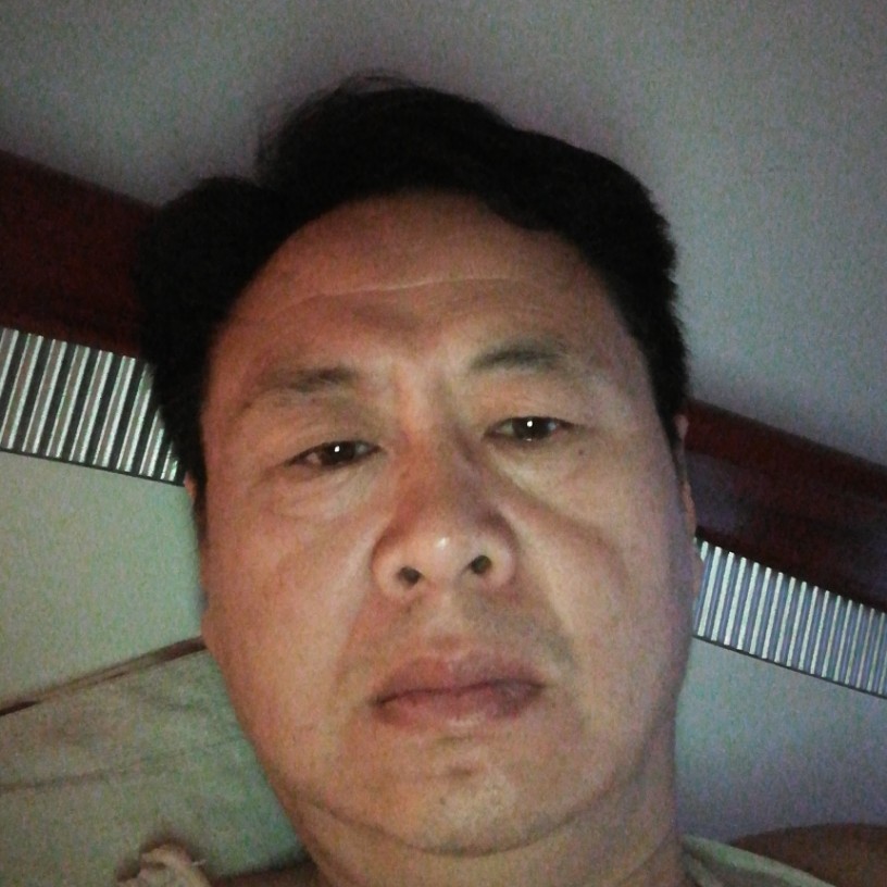 大雁给美好的照片