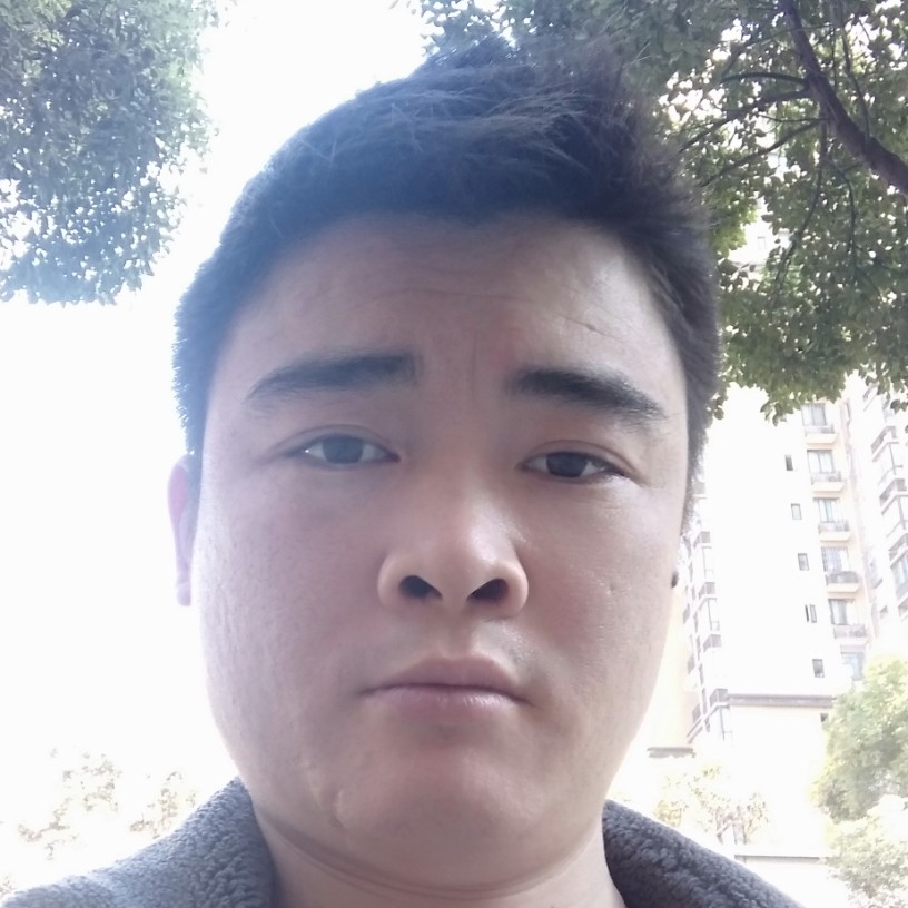 阳光挽手飞机的照片