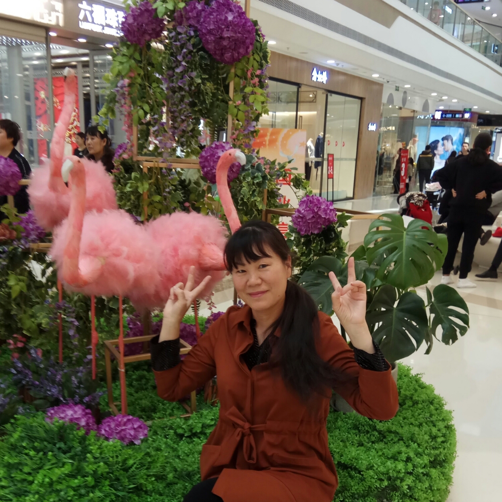 冬日那满意的照片