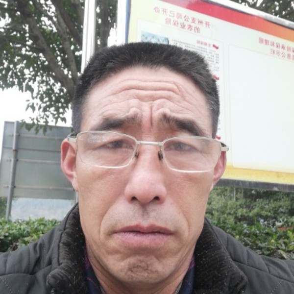 小天鹅蹙眉朴素的照片