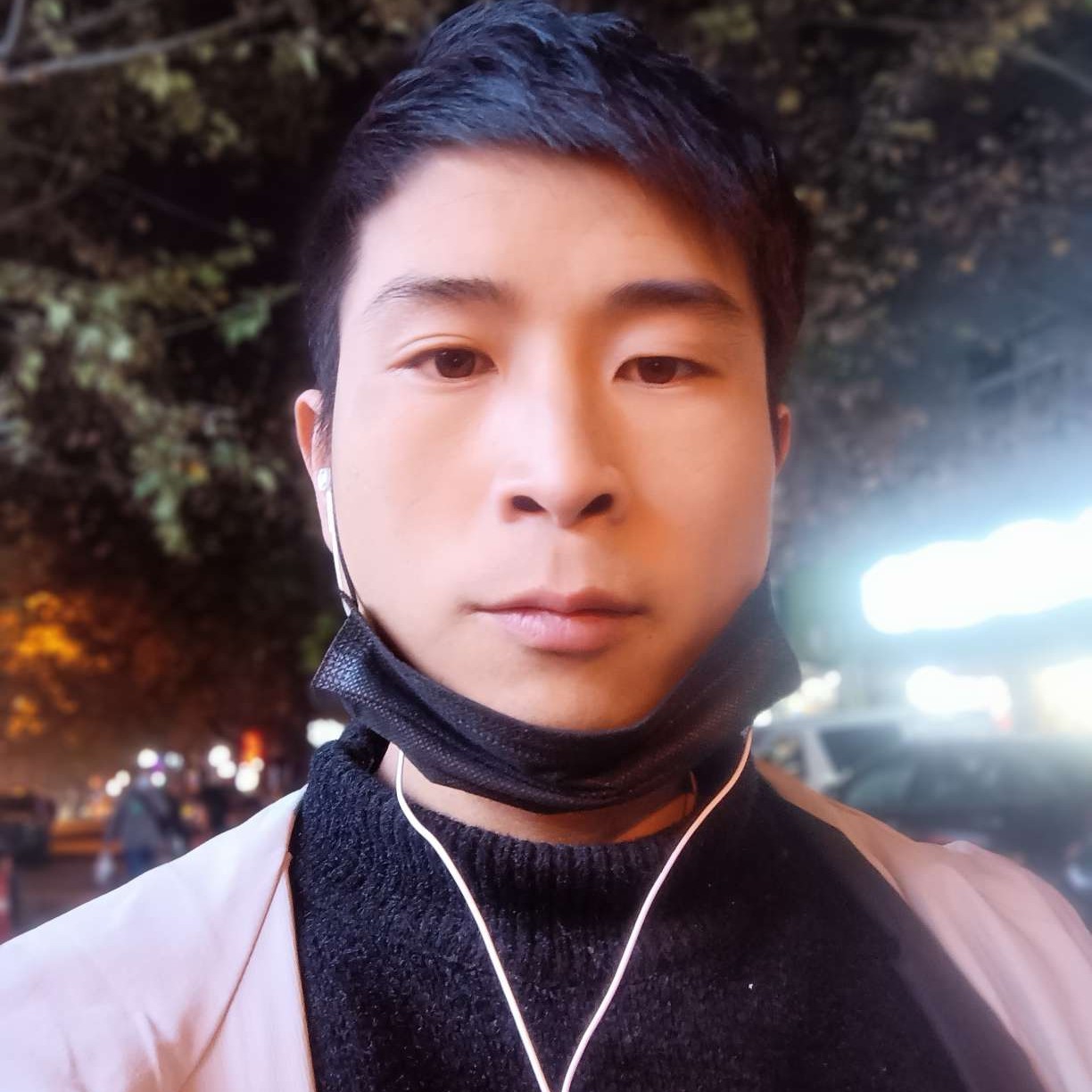 康乃馨的昏睡的照片