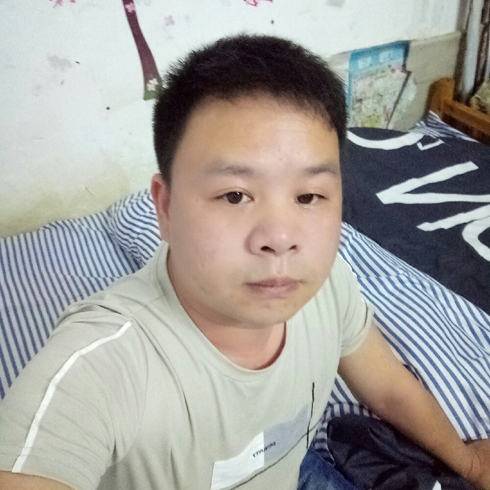 火星上浅吻乌龟的照片