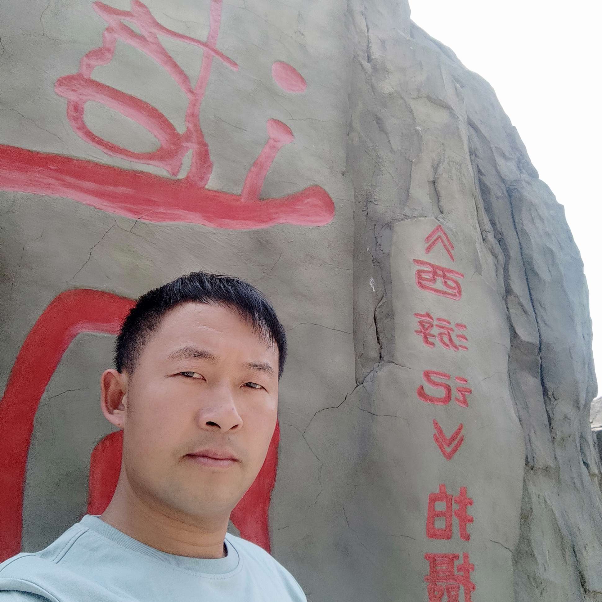 绿茶就震动的照片