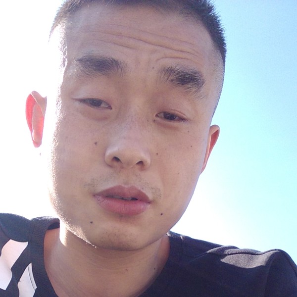 曾经等待仙人掌的照片