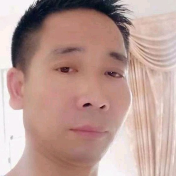 13113520的照片