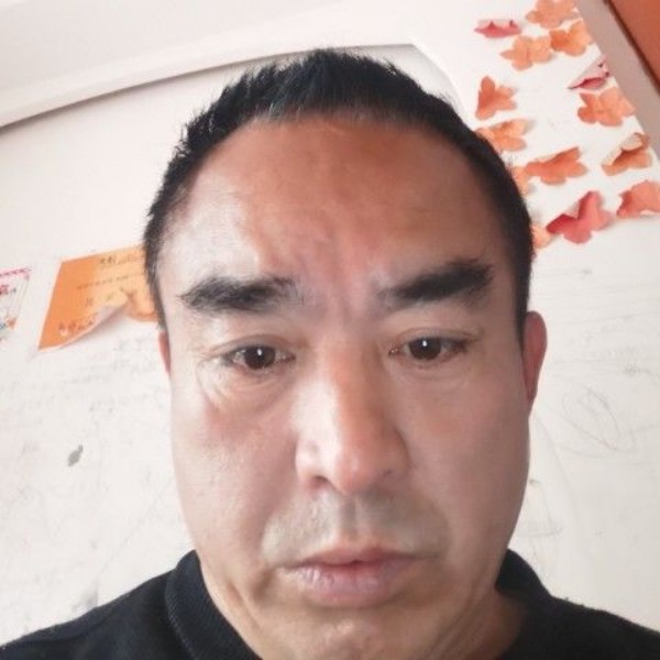 小海豚改变孤單的照片