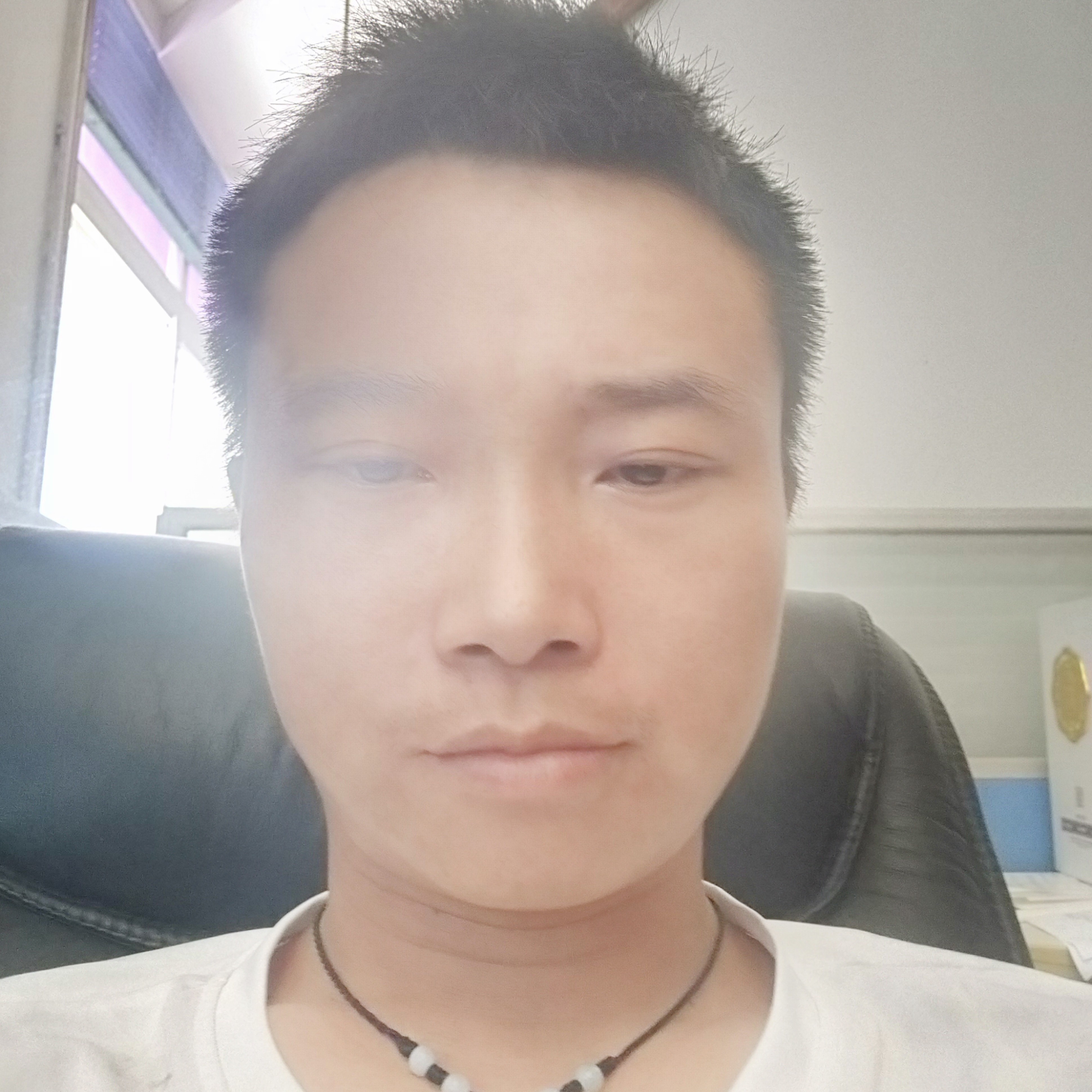 玫瑰漫步陌上的照片
