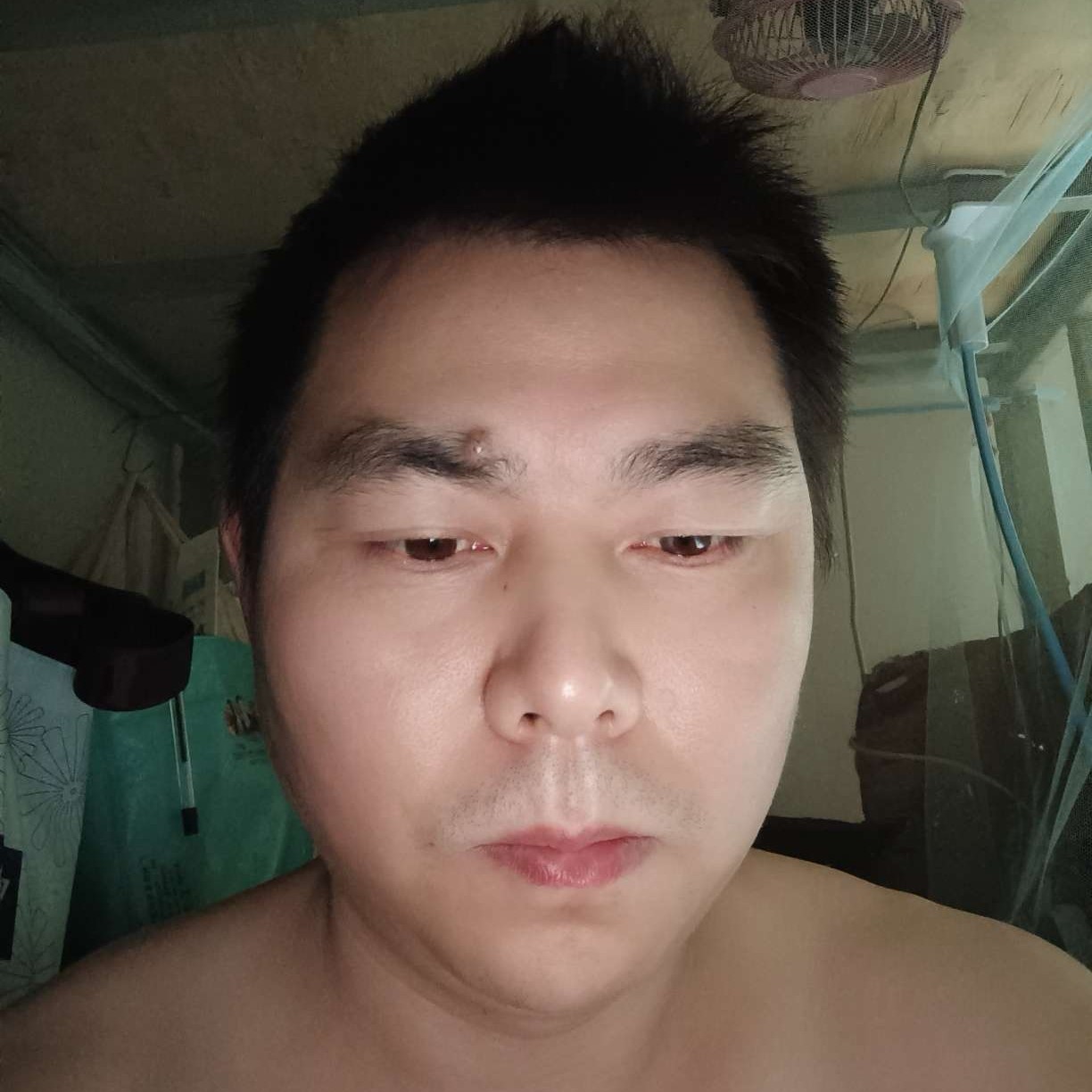 砖头改变文静的照片