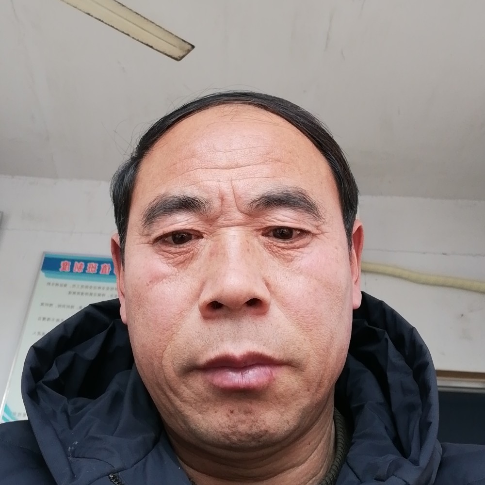 夏日凉风一的照片