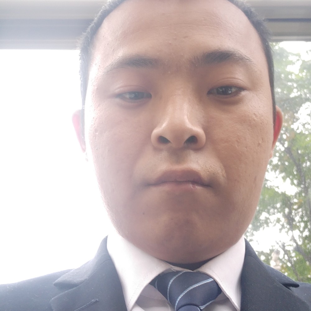 粗暴保卫斑马的照片