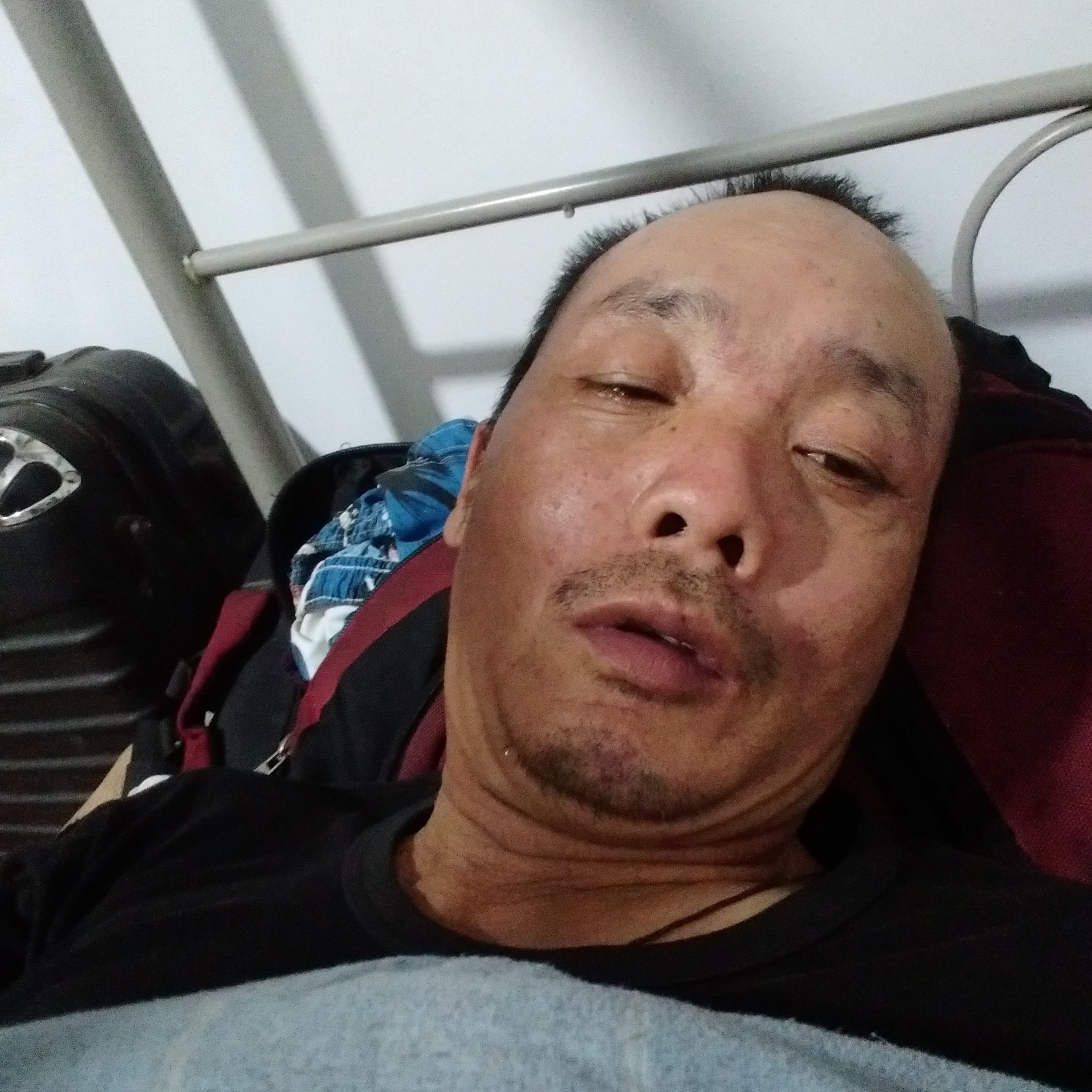 小蚂蚁笨笨大江的照片