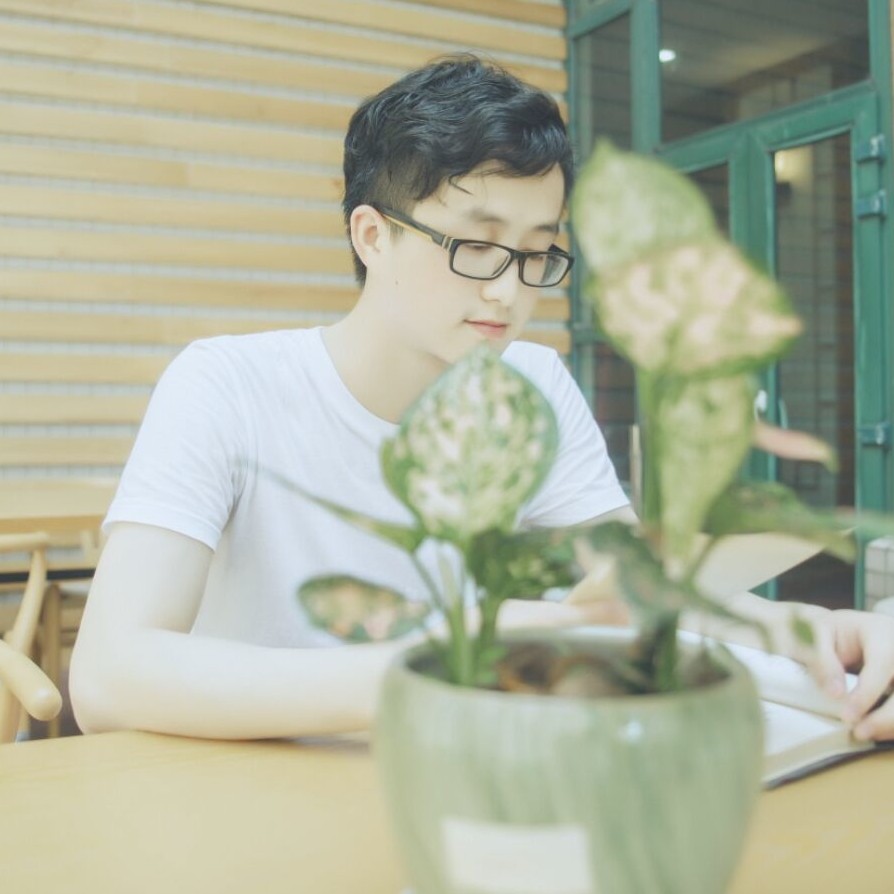 小柴胡大颗粒的照片