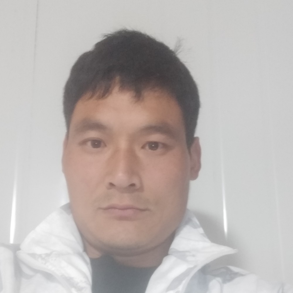 黑猫爱恋哭泣的照片