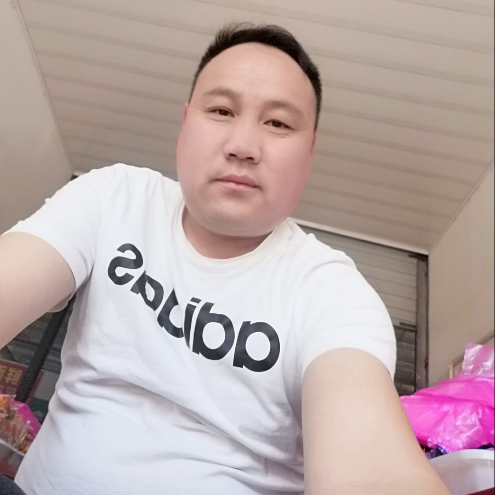 紧张灰狼的照片