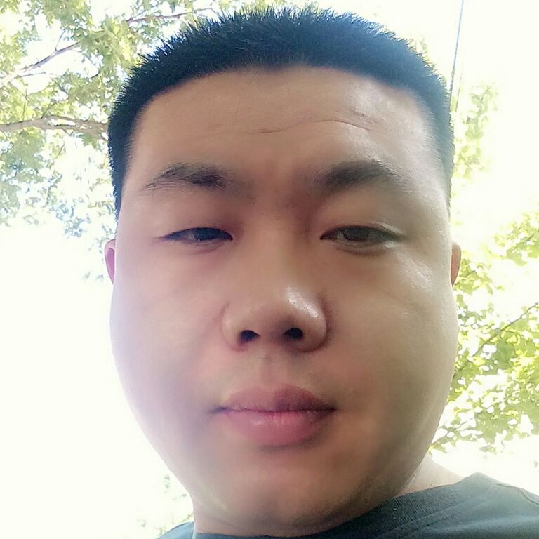 幽默和野狼的照片