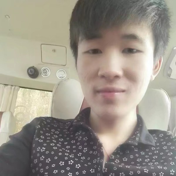 西牛停止单身的照片