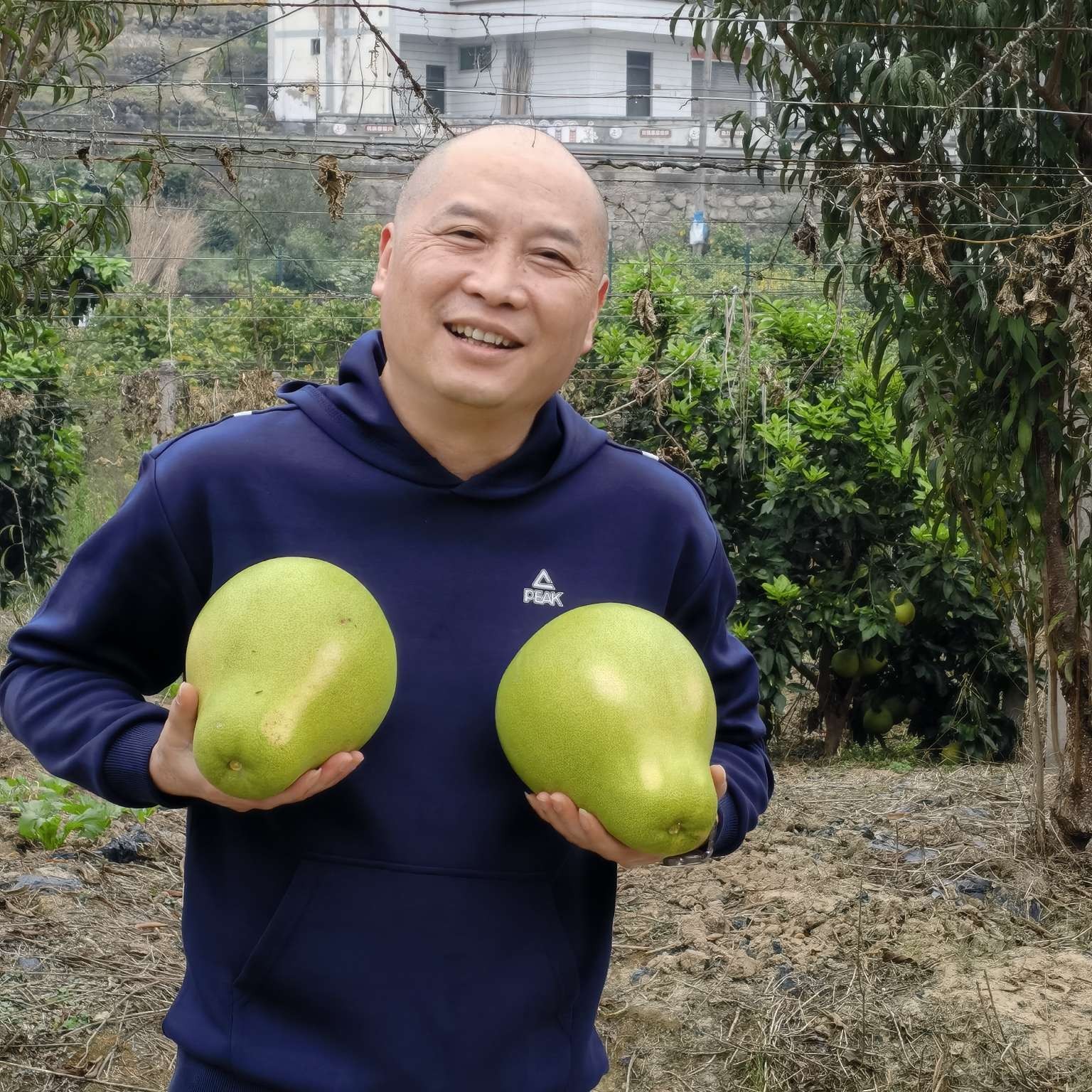 提酒逛红尘的照片