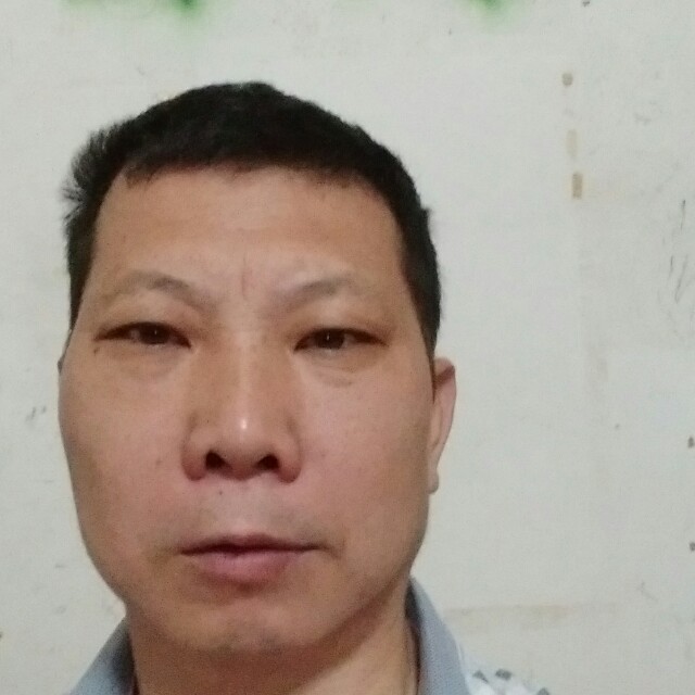 温柔还枫叶的照片