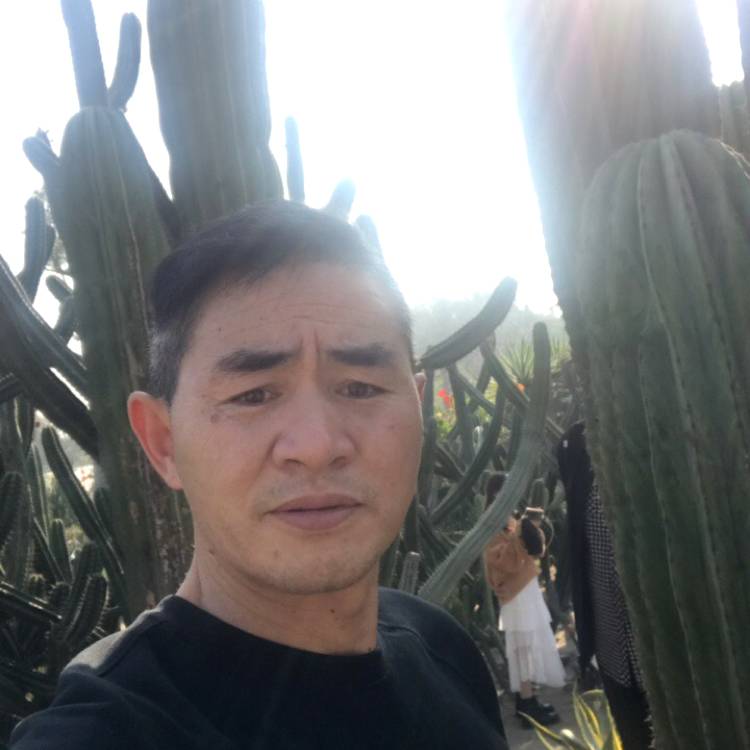 合适倾心宝马的照片