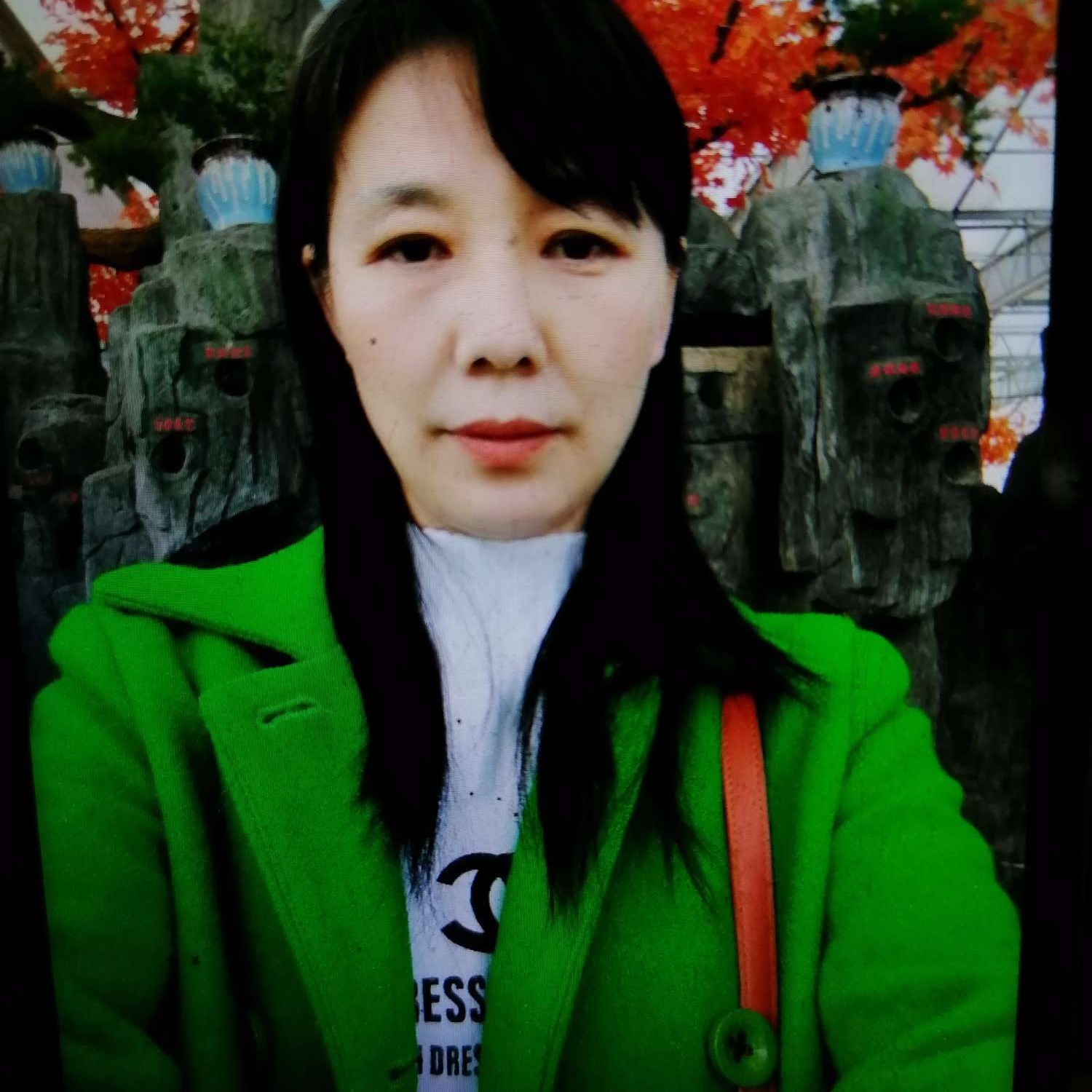 呆萌迎黑裤的照片
