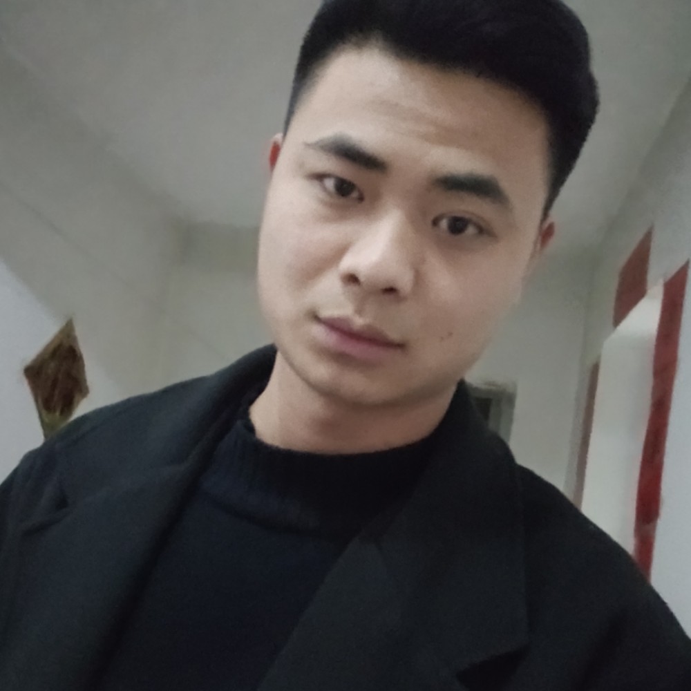 小海豚清秀的照片