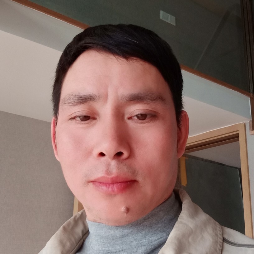 野狼等于快乐的照片