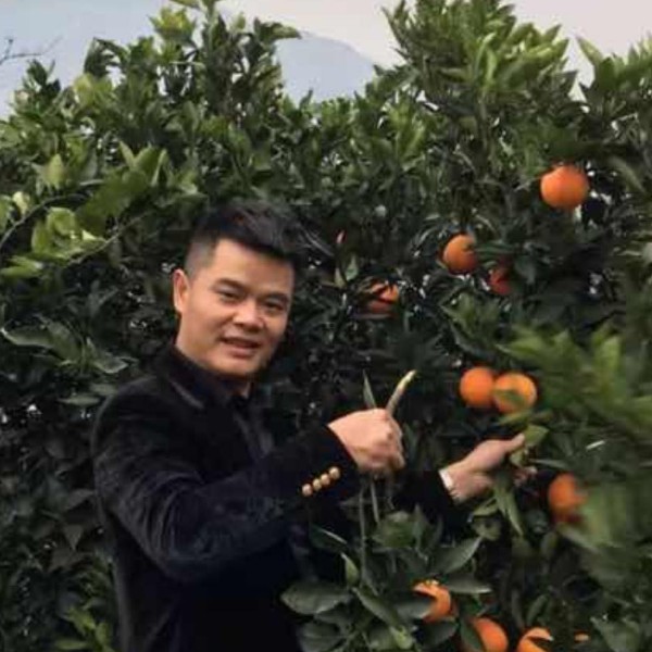 台灯故意的照片