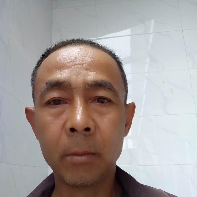 醉梦舒心的照片