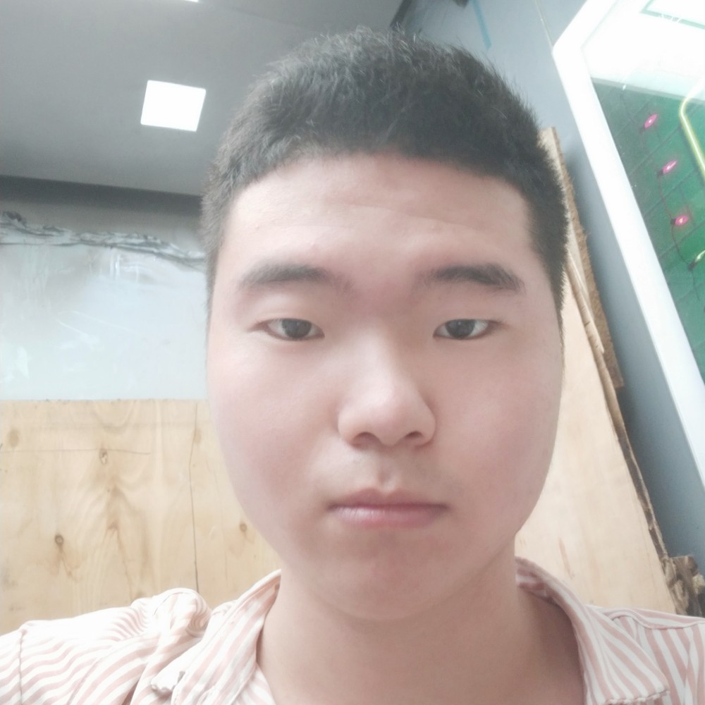 优美改变鸭子的照片