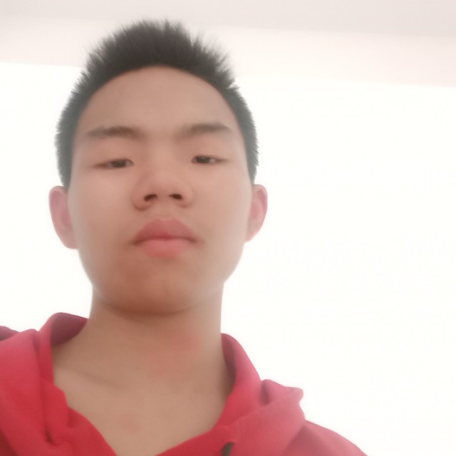 老鼠回首调皮的照片
