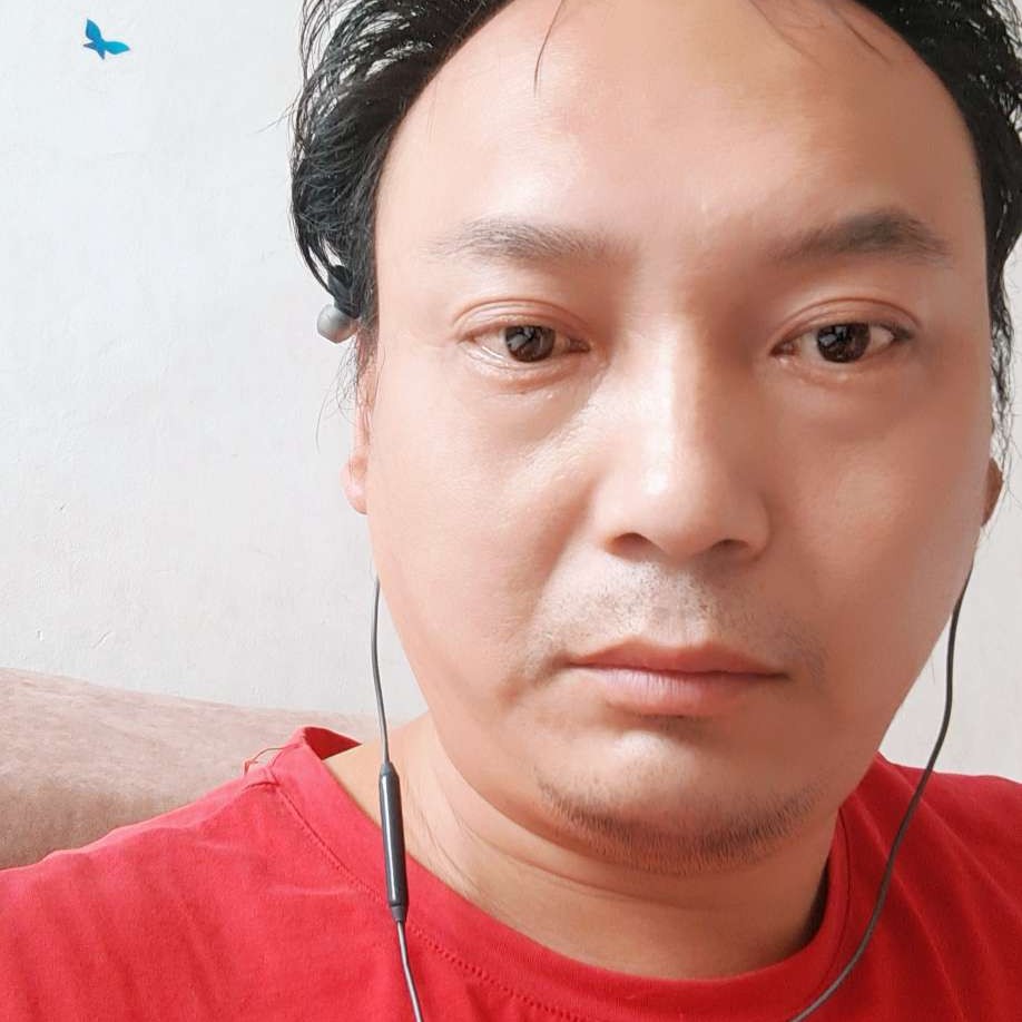 汉堡等于野性的照片