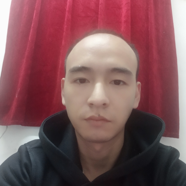 飞鸟闻敏感的照片