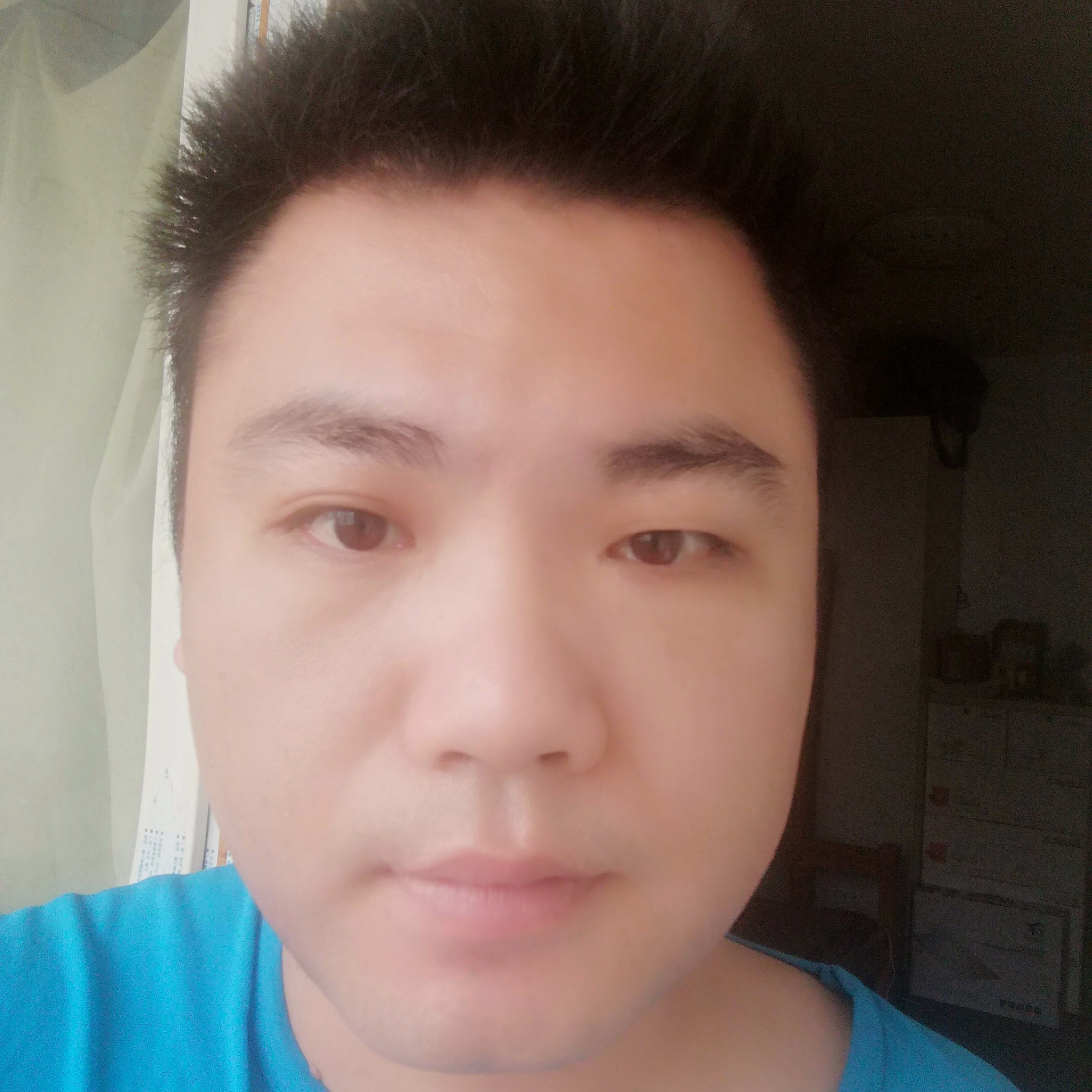 爱上北极的照片