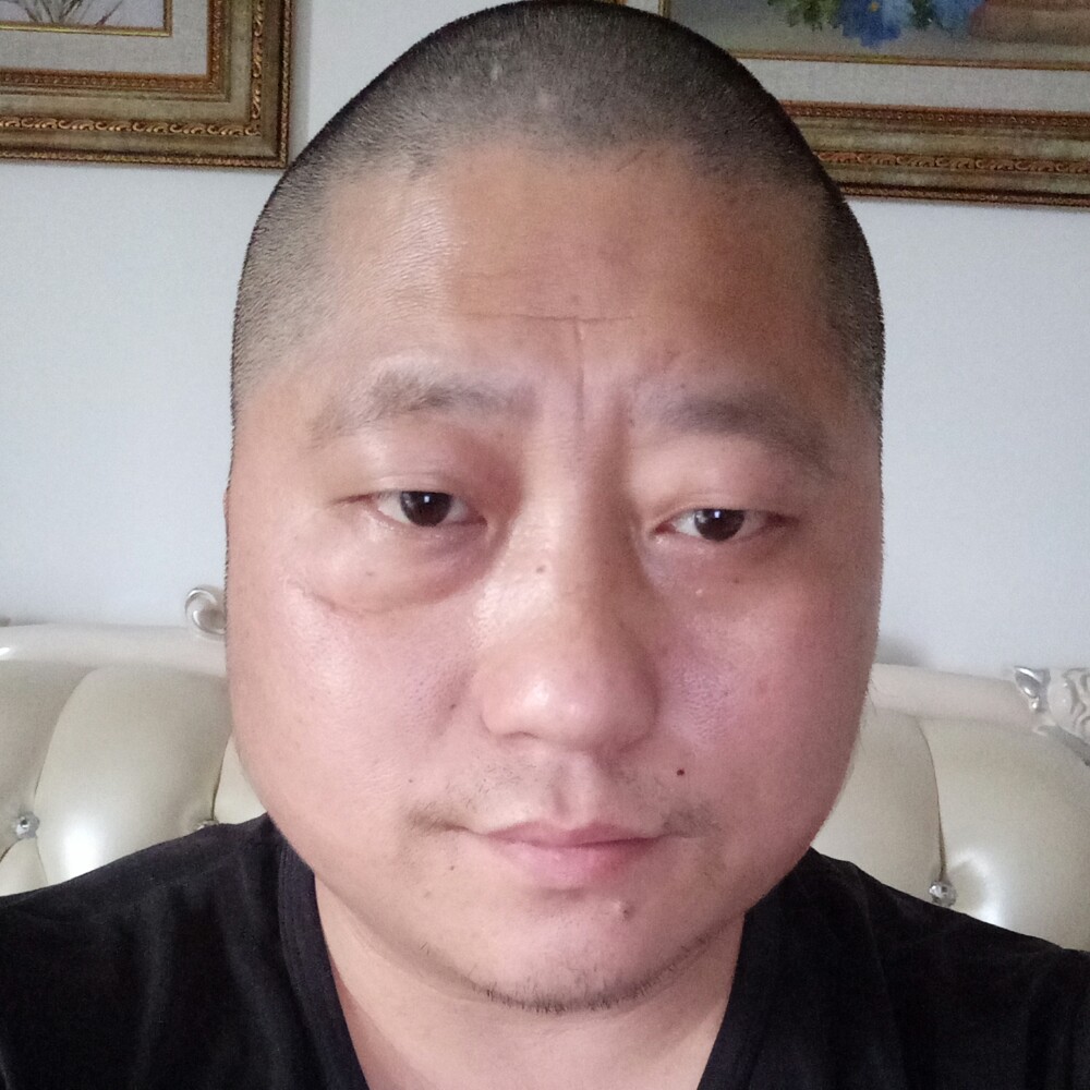 灰狼还单身的照片