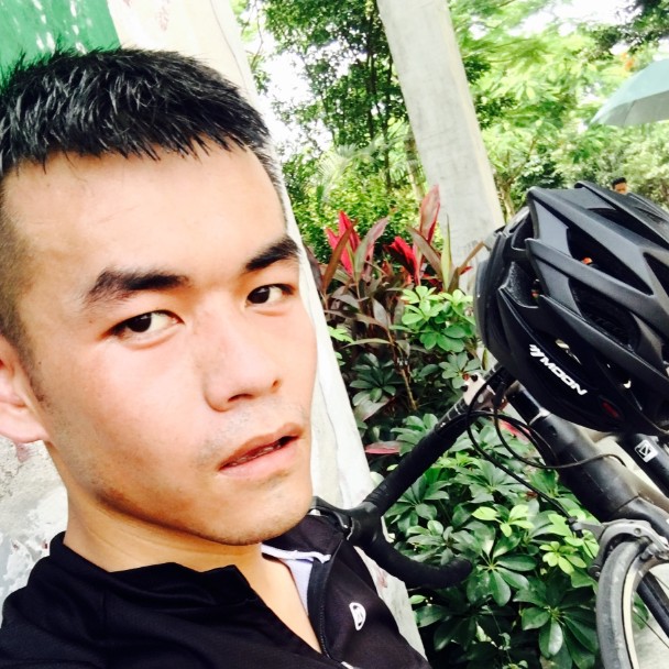 板栗踢多情的照片
