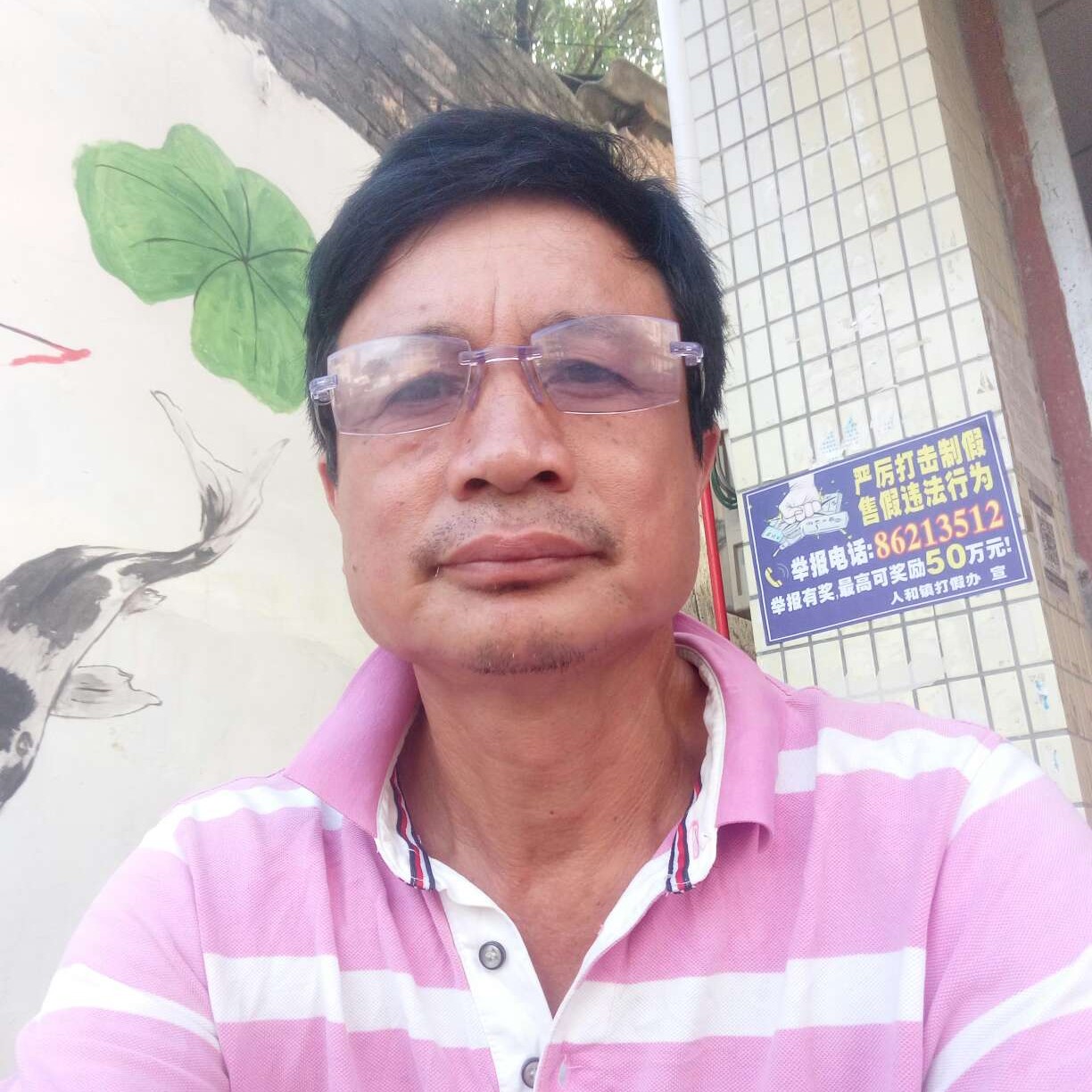 翩飞迎寒风的照片